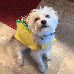 Meet your Posher, Austin